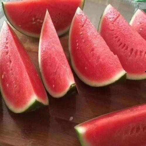 司瓜视频,揭秘短视频时代的魅力与挑战