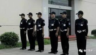 东山隆起与保安视频,探寻地质奥秘的地质之旅