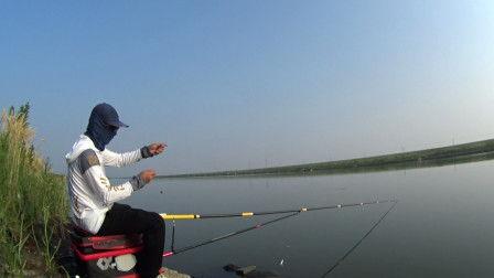 钓鱼的视频,跟随镜头探寻钓鱼的乐趣与技巧