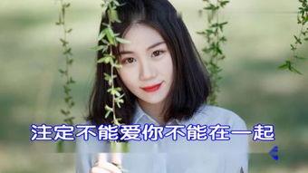 暖心歌曲视频,一首歌曲视频的感人之旅